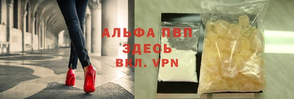 молекула духа Арсеньев
