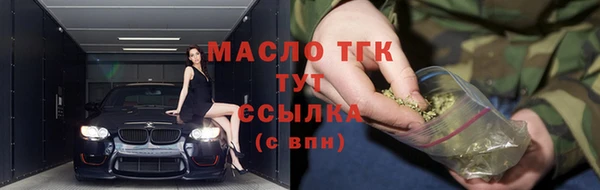 молекула духа Арсеньев