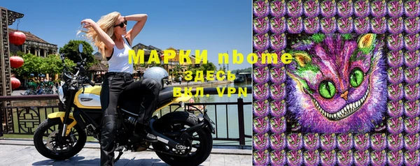 молекула духа Арсеньев