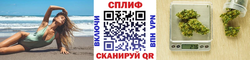 omg зеркало  купить наркотик  Новоалтайск  Марихуана White Widow 